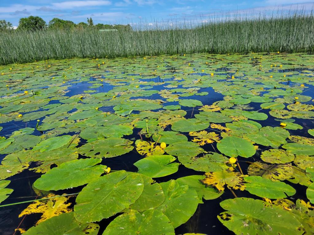Paesaggio naturale nelle vicinanze di questo campeggio di lusso