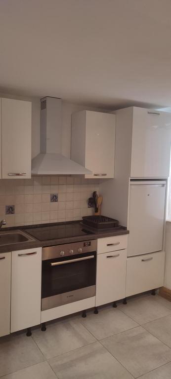 Kuchyň nebo kuchyňský kout v ubytování Hostel Pirano
