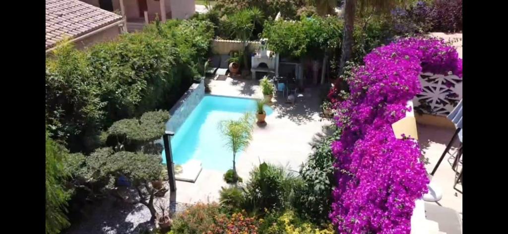 een uitzicht over een zwembad met paarse bloemen bij chez Muriel et Yves in La Londe-les-Maures