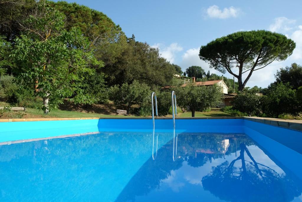 una piscina azul con árboles en el fondo en Podere Le Lame Farmhouse, en Riparbella