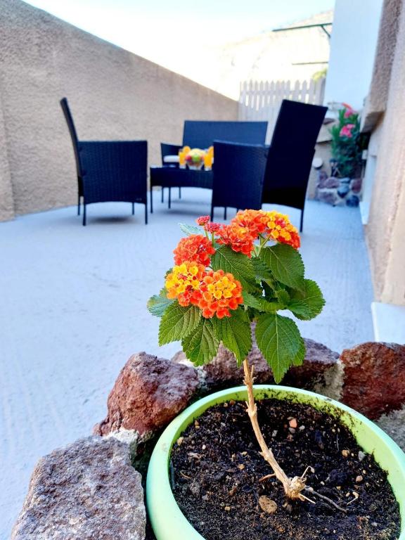 Patio lub wspólna przestrzeń na świeżym powietrzu w obiekcie Etoile apartment