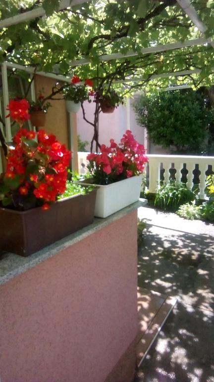 Zahrada ubytování Apartman Tihana