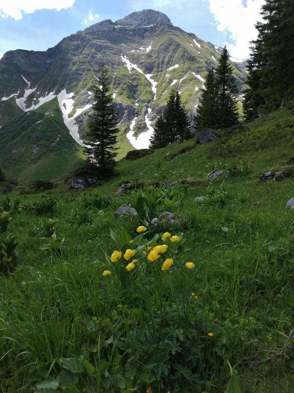 Paesaggio naturale nelle vicinanze dell'appartamento