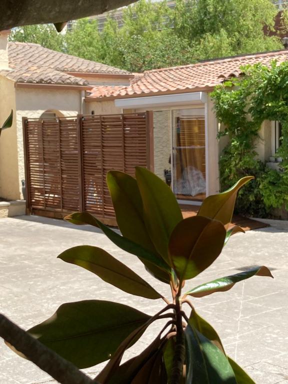 a plant in front of a house at le Garden Cocoon in Istres