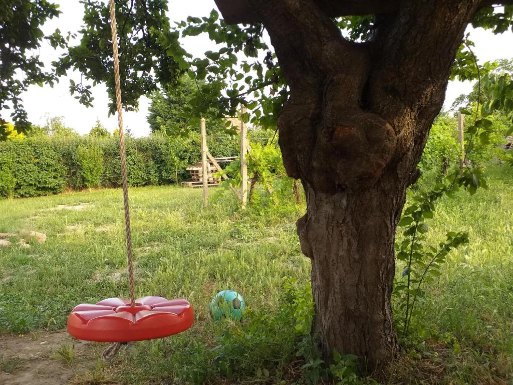 Zahrada ubytování Vila Vlaštovka