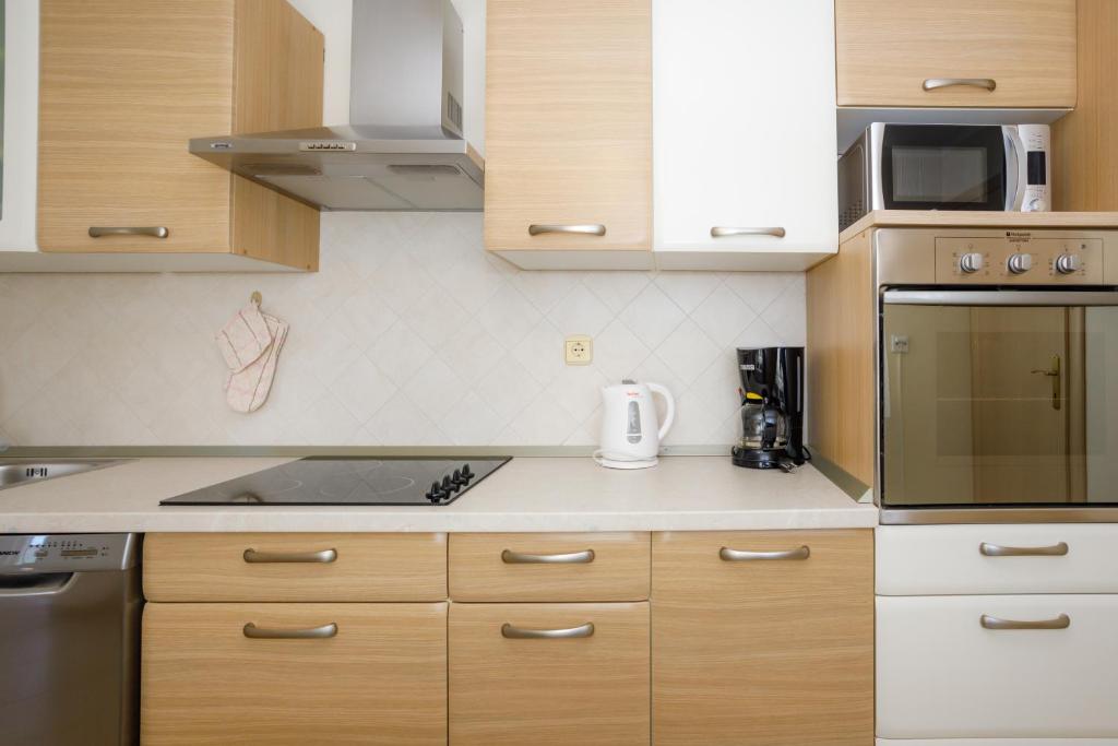 Kuchyňa alebo kuchynka v ubytovaní Apartment Franolic