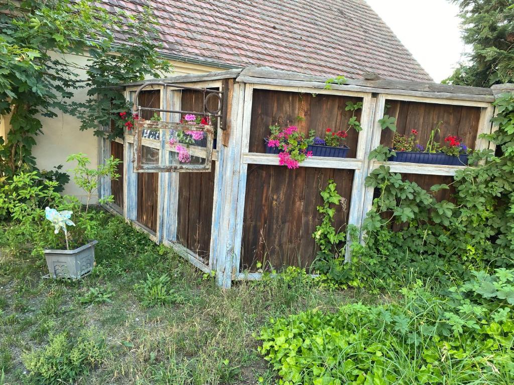 Zahrada ubytování Ostsee Radlerpension Peitz