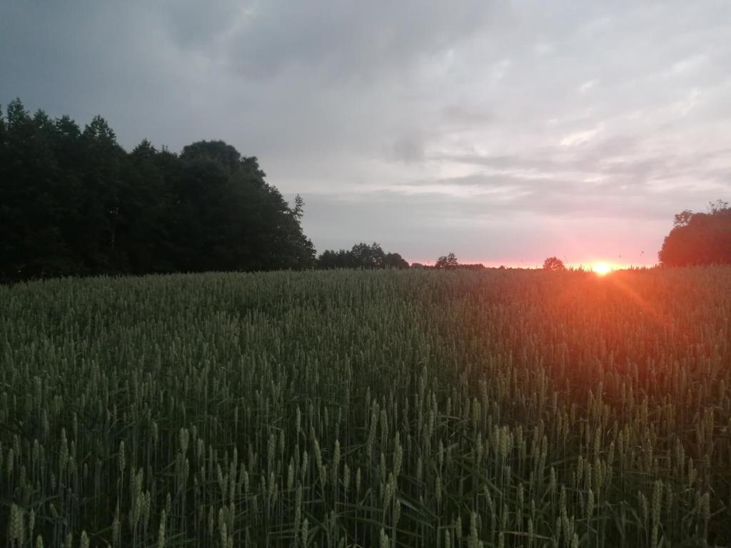 Východ nebo západ slunce při pohledu z penzionu nebo okolí