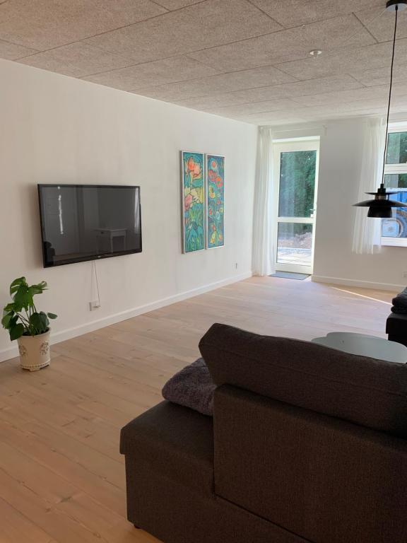 TV a/nebo společenská místnost v ubytování Bulagergaard