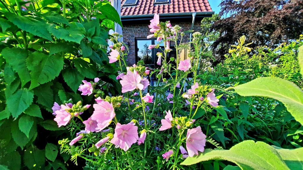 Klein-Tjücher-Grashaus 4 - Haus Mit Einem Schlafzimmer