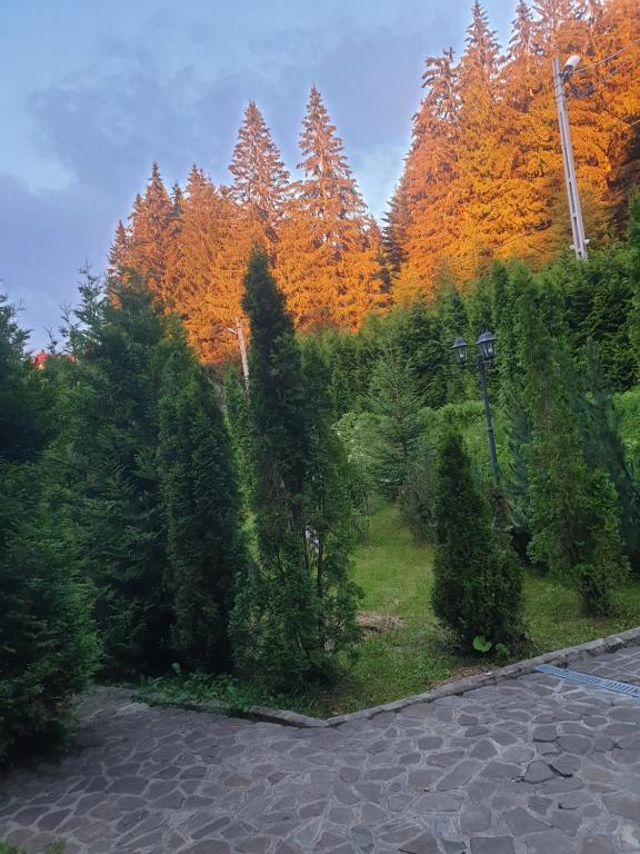 Příroda nedaleko hotelu