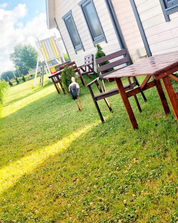 Vonkajšia záhrada v ubytovaní Flip Flops