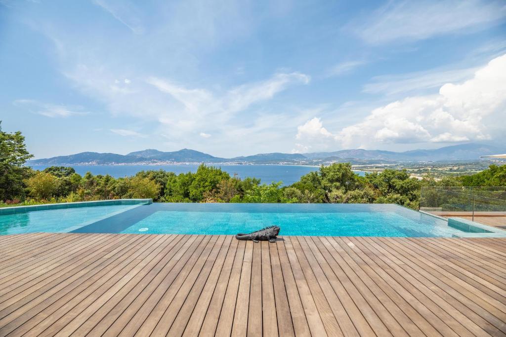 a bird sitting on a deck next to a swimming pool at U Tempu Persu in Grosseto-Prugna