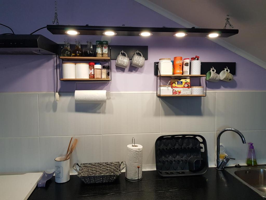 Kuchyňa alebo kuchynka v ubytovaní Apartman Atelier
