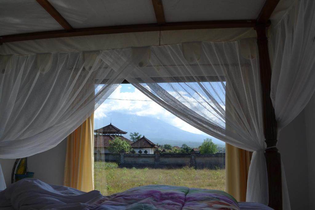 The BBQ Guest House - 6