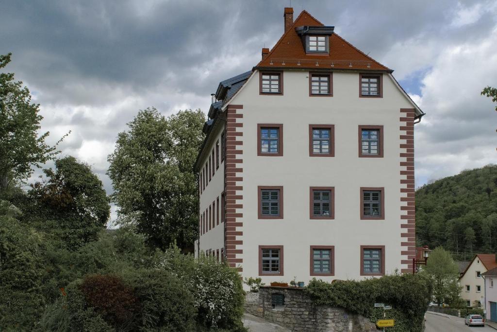 a tall white building with a brown roof at Schloss Mühlen in Horb am Neckar
