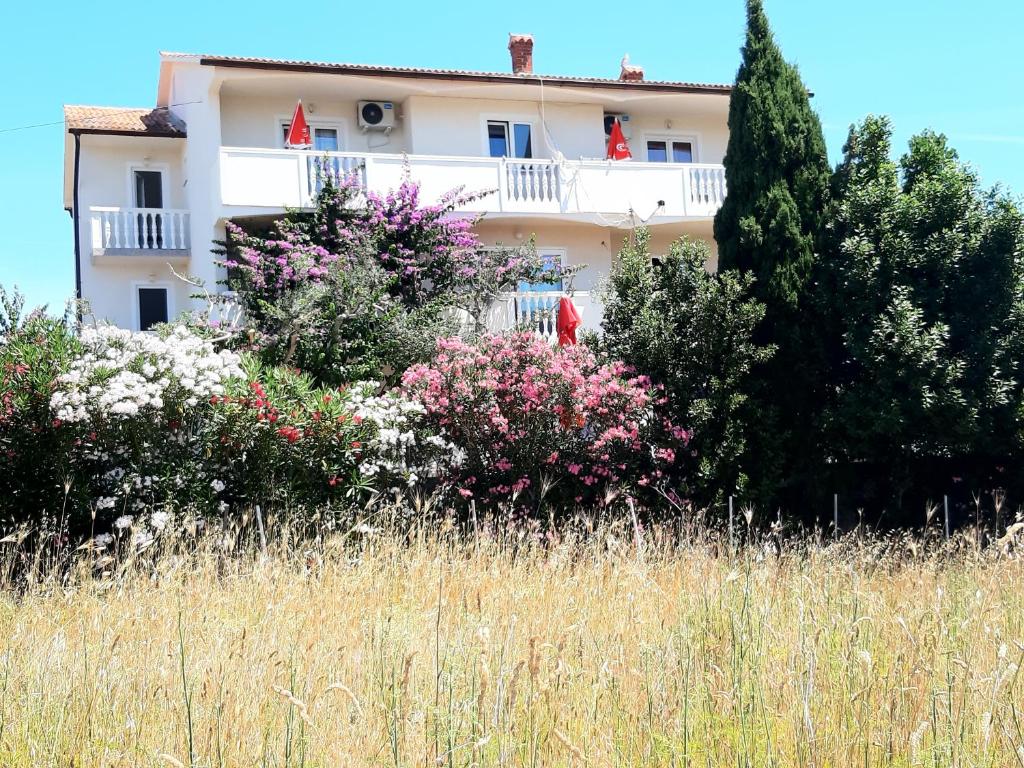 Zahrada ubytování Apartments Zoran