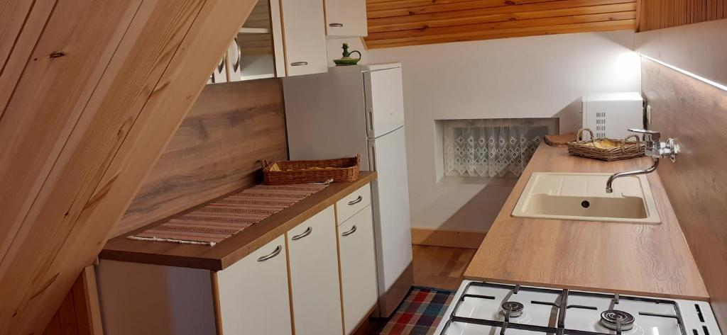 Kuchyň nebo kuchyňský kout v ubytování Apartmán Astra v Ždiari