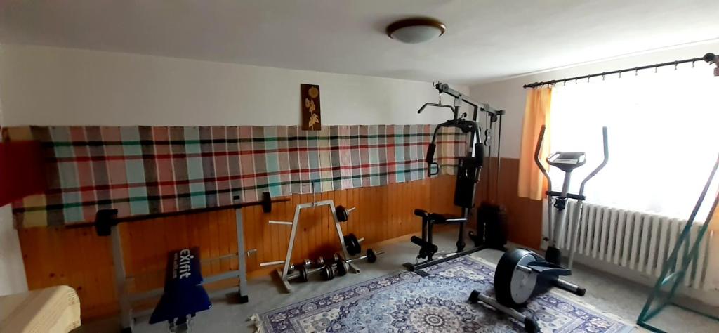 Fitness centrum a/nebo fitness zařízení v ubytování Apartmán Astra v Ždiari