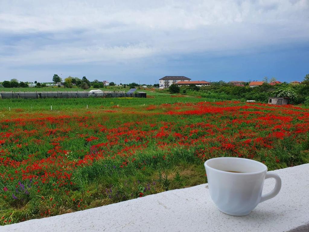 a cup of coffee sitting on a table next to a field of flowers at LaWanda9 in Vama Veche