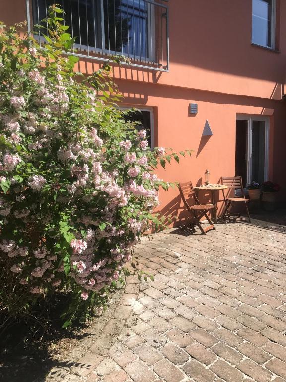 a bush with pink flowers in front of a building at Moderne großzügige Souterrainwohnung Zarrentin Gallin Schaalsee Natur Wald Wasser in Gallin