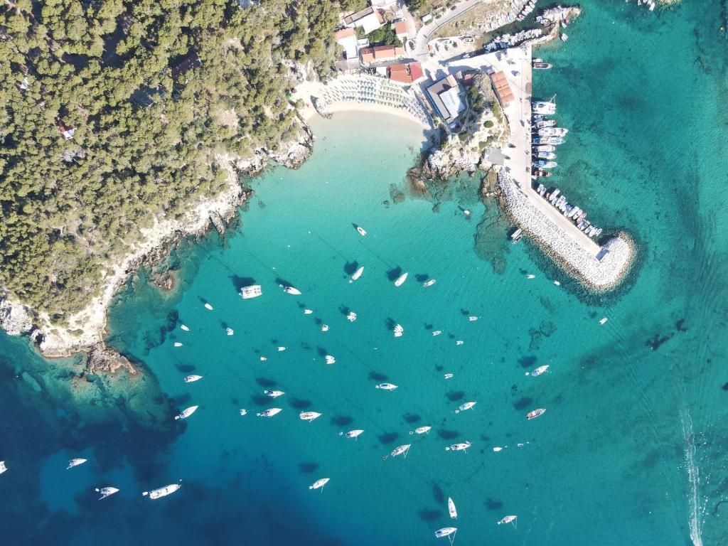 una vista aerea di un porto con barche in acqua di Residence Cala delle Arene a San Domino