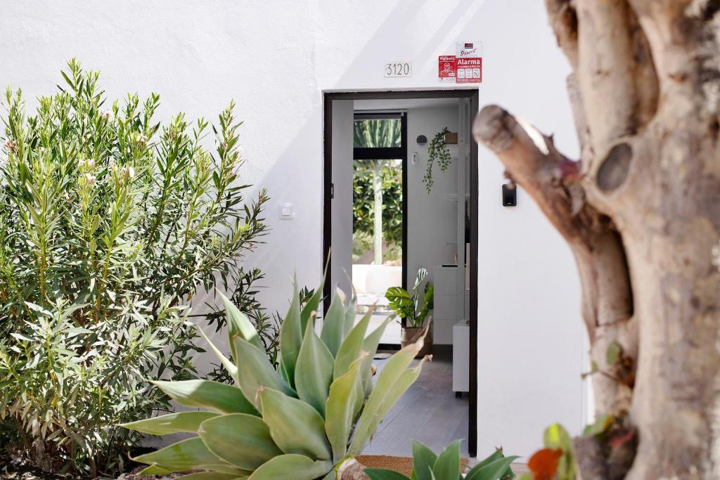 Calimar Los Molinos, Costa Teguise – Bijgewerkte prijzen 2022