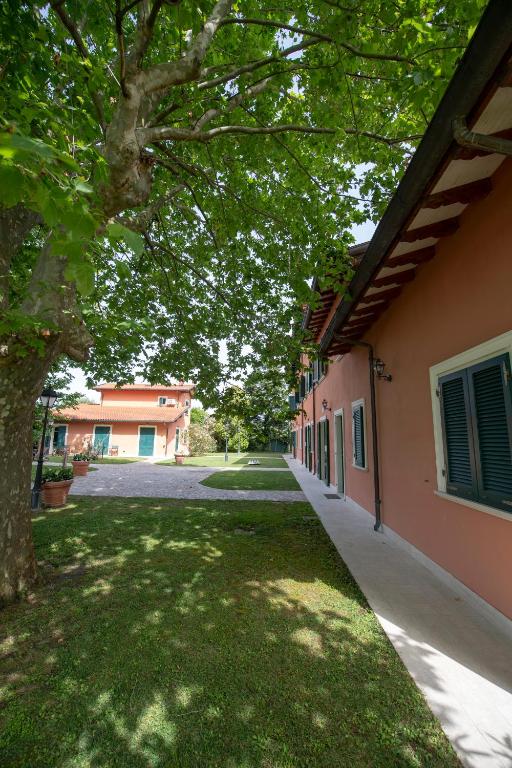a green yard next to a building with a tree at Relais Villa Isabel in Pietrasanta