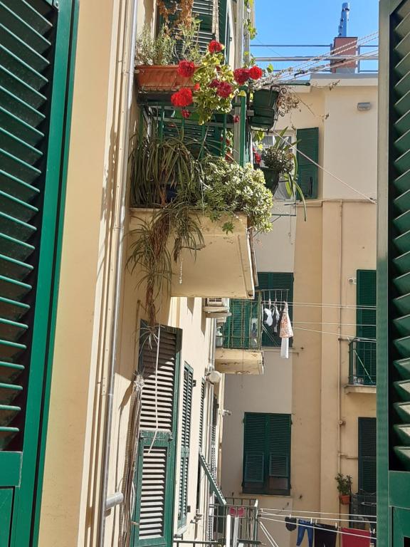 Balkón nebo terasa v ubytování Hotel Guesthouse MASSENA