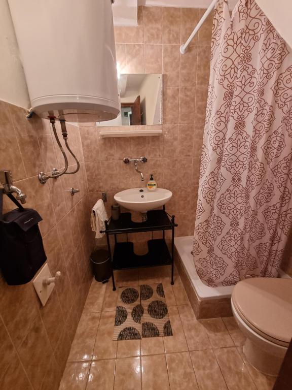 ein Bad mit einem Waschbecken und einem Duschvorhang in der Unterkunft Apartment Anna Vis in Vis