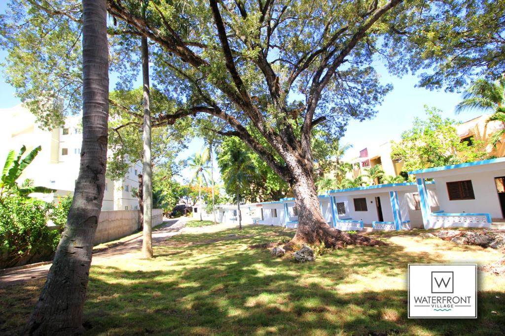 a tree in the middle of a yard with houses at Bungalow 19 Cozy room at just steps from the beach and in town center in Sosúa