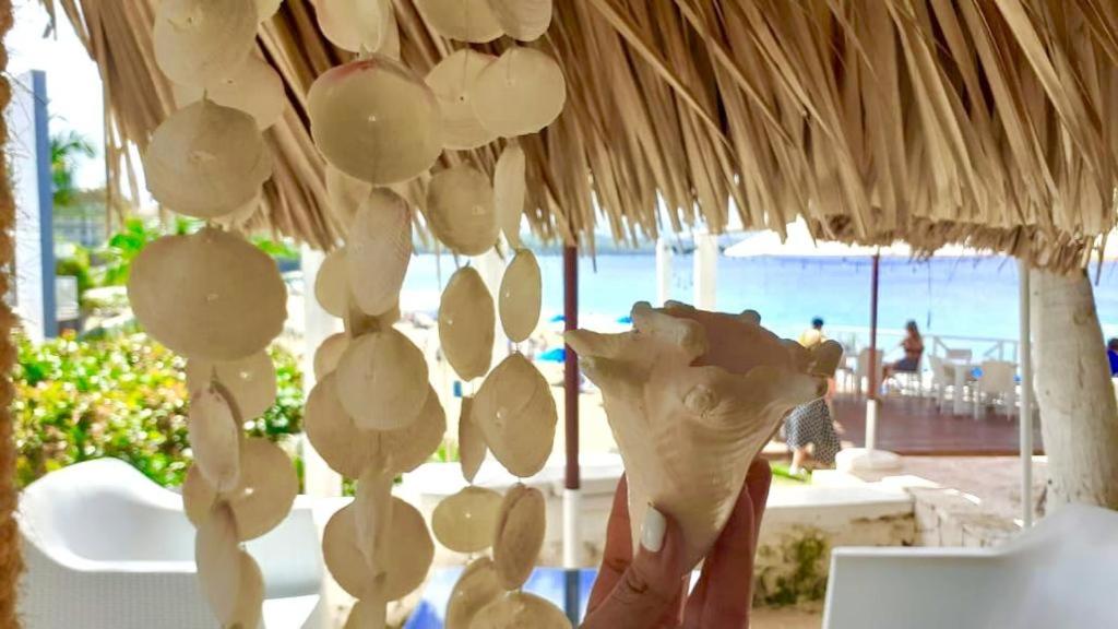 a shell hanging from a straw umbrella on a beach at Bungalow 3 Cozy room at just steps from the beach and in town center in Sosúa