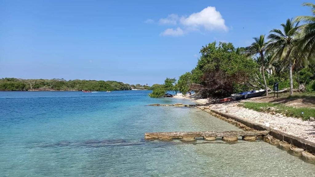 a body of water with palm trees and a beach at Las Flores Econativo in Isla Grande