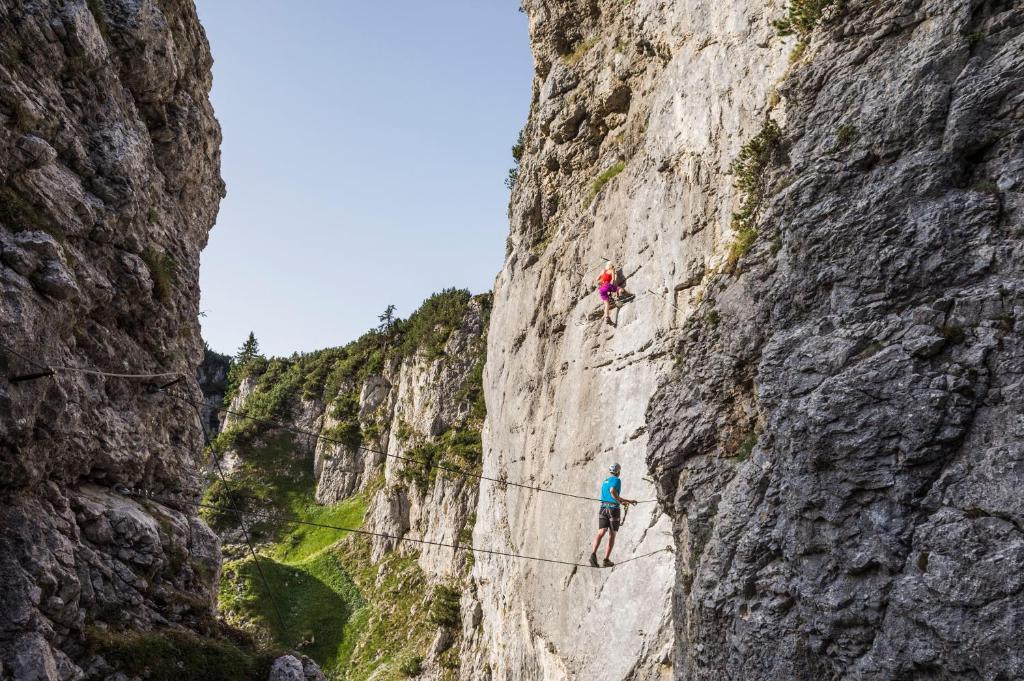 Hosté ubytování Mountain Fresh - alpine easy stay