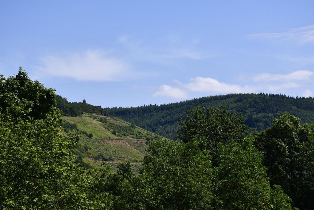 Schorn³ Appartements - 13