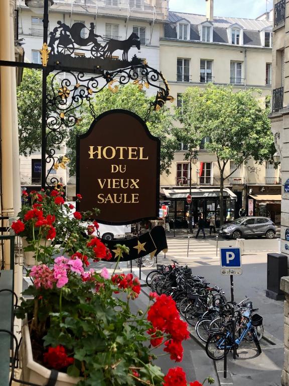 Hôtel Du Vieux Saule