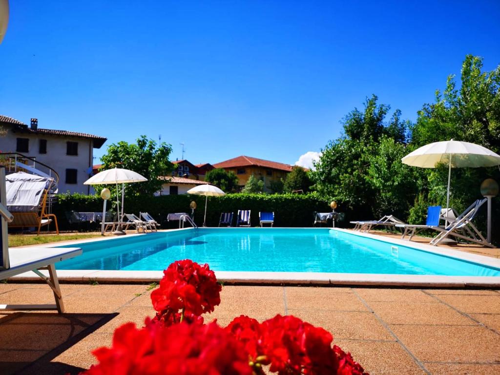 una piscina con flores rojas y sombrillas en Albergo B&B Tenesi, en Manerba del Garda