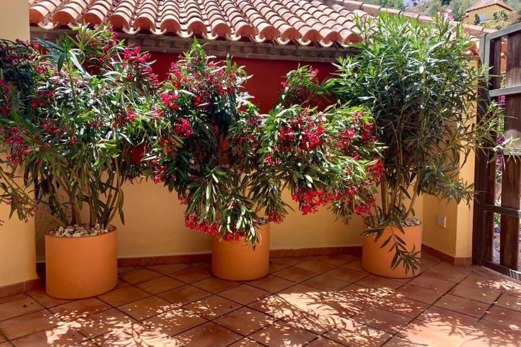 Beautiful House with splendid sea views, Calaiza Beach, La ...