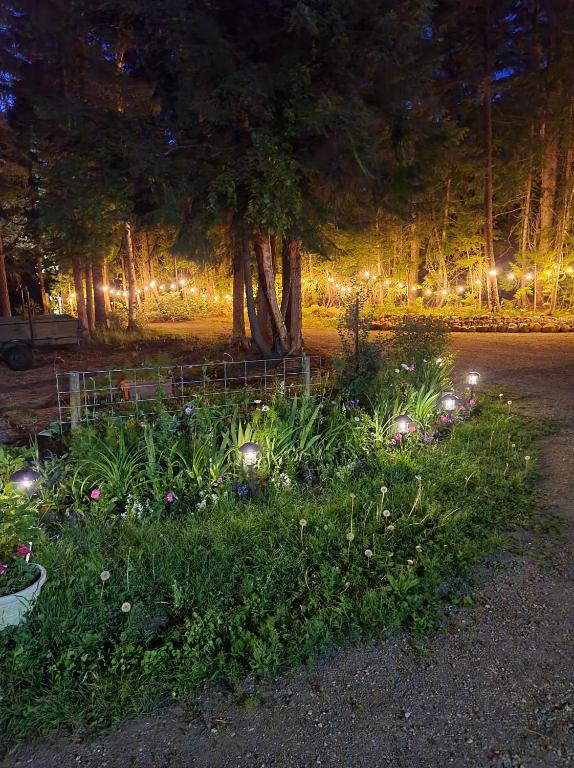 Zahrada ubytování Grizzly Paw B&B