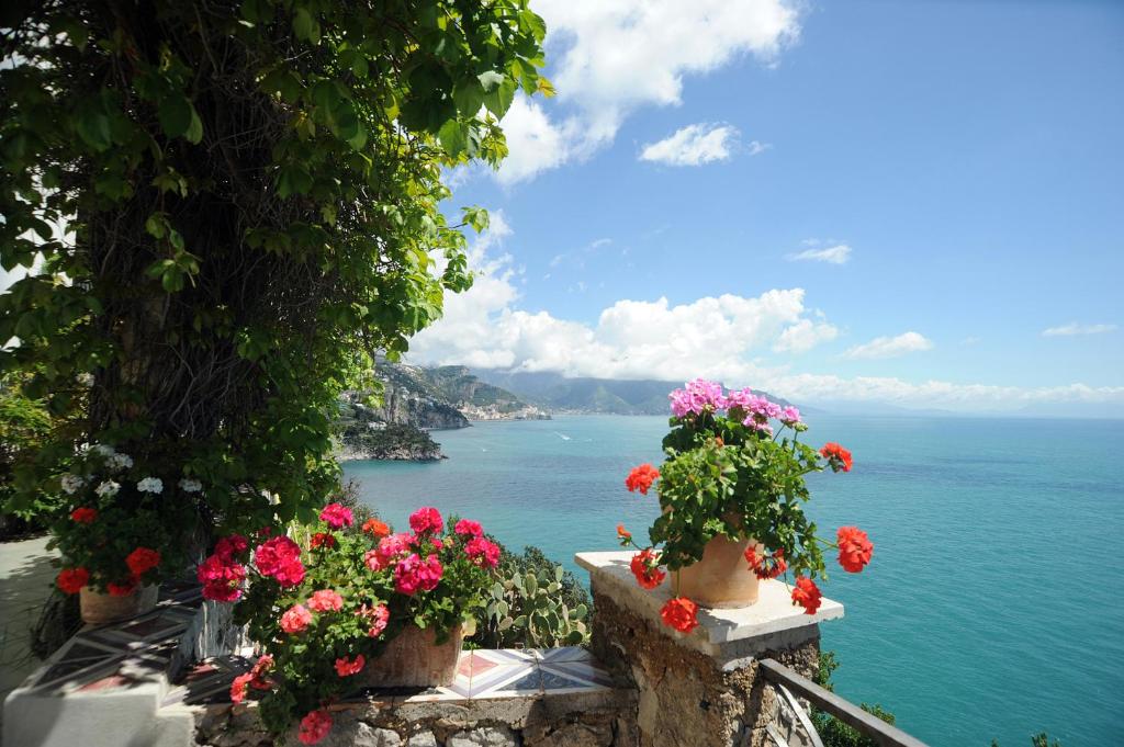 a view of the ocean from a ledge with flowers at Hotel Belvedere in Conca dei Marini