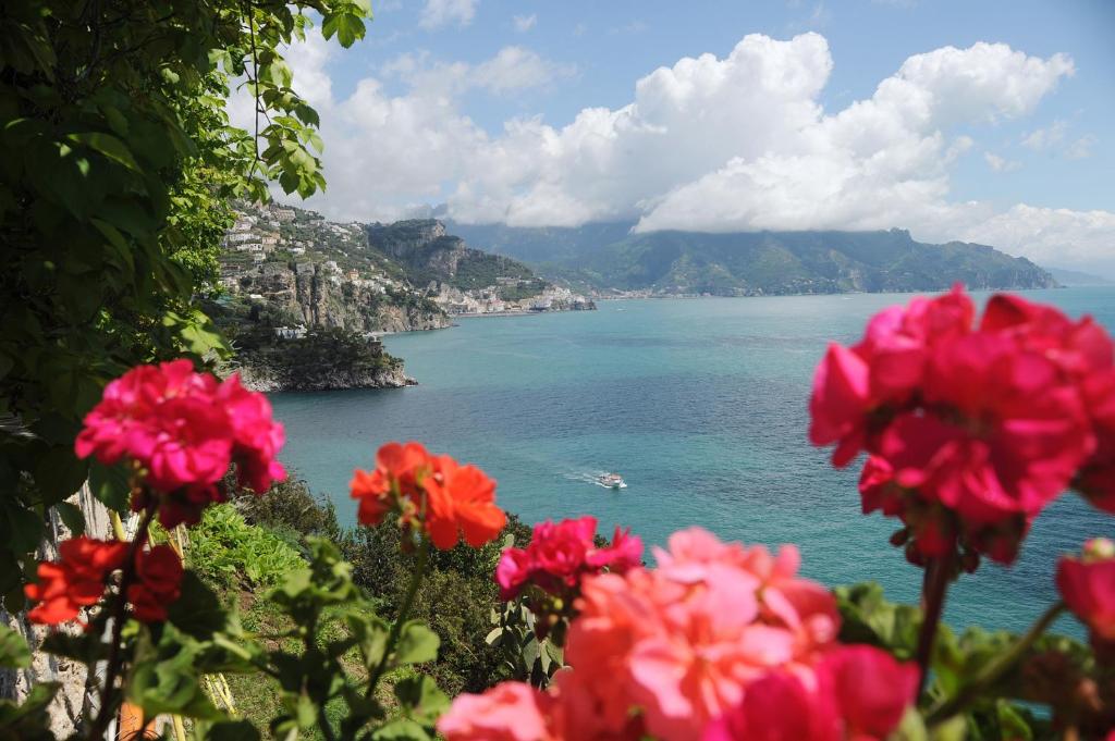 a view of a body of water with pink flowers at Hotel Belvedere in Conca dei Marini