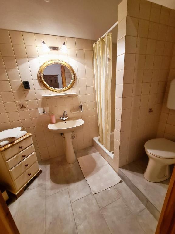 Kúpeľňa v ubytovaní Agas Vendeghaz