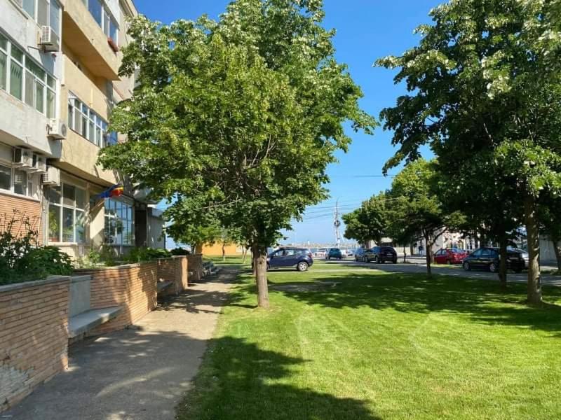 a tree in the grass next to a building at Mangalia Port in Mangalia