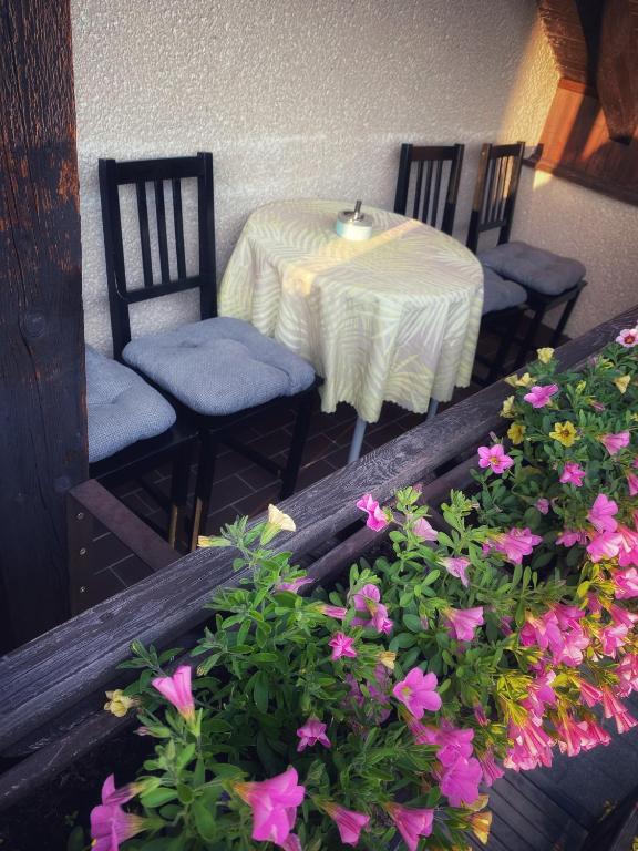 A seating area at R-Penzion