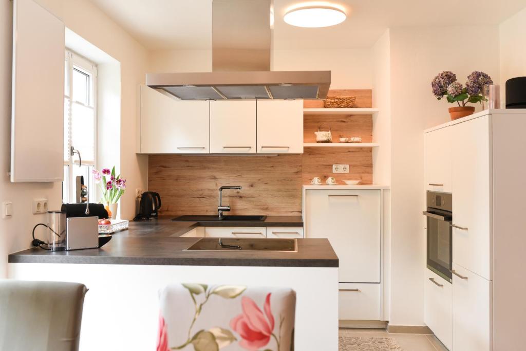 Kuchyňa alebo kuchynka v ubytovaní Apartments Zum Ybbsturm