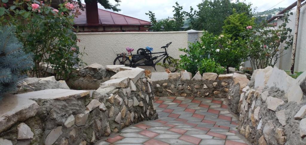 Anar amb bici a Panorama o pels voltants