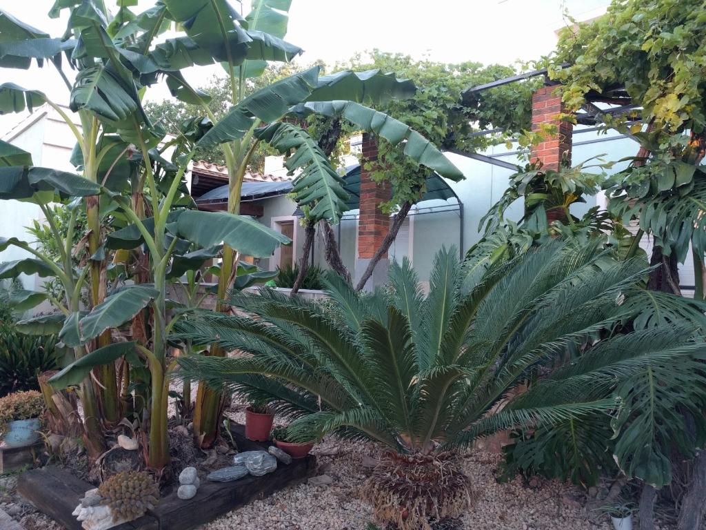 Jardín al aire libre en Casa Baleso