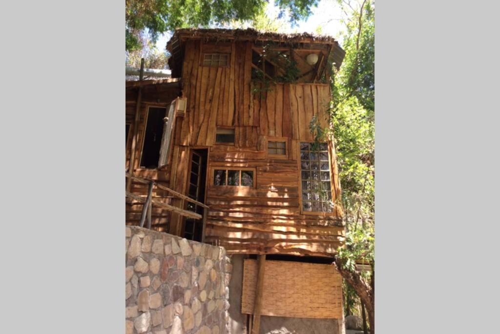 ein großes Holzhaus auf einer Wand in der Unterkunft La Casa entre los Árboles en el Valle de Elqui Montegrande in Paihuano