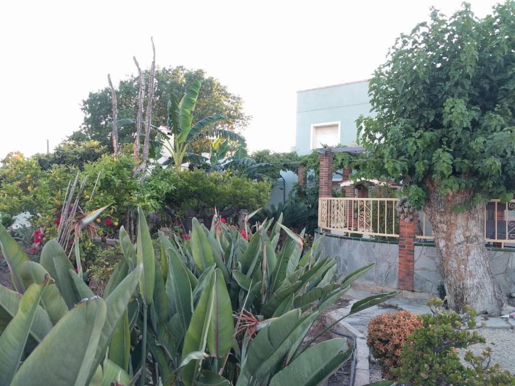 Jardín al aire libre en Casa Baleso