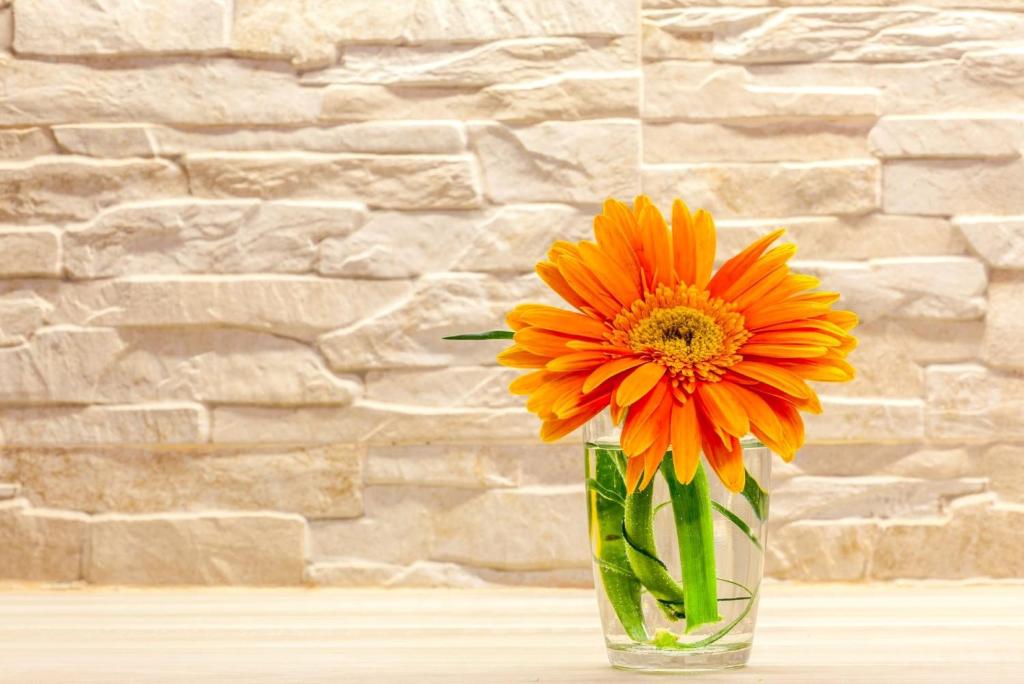 Fotografia z galérie ubytovania Classy apartment in the center of Split v Splite
